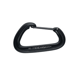 Карабін Black Diamond LiteWire Black