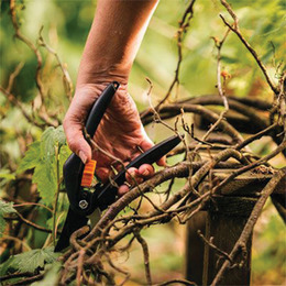 Секатор Fiskars. Фото 3