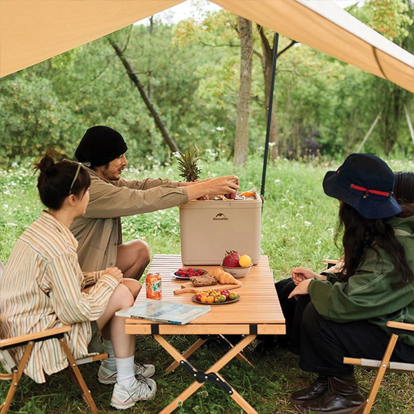 Туристичний холодильник Naturehike CNK2300BS011, 33 л, бежевий. Фото 3