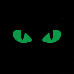 M-Tac нашивка Tiger Eyes Laser Cut (пара) Coyote/Green/GID. Фото 3