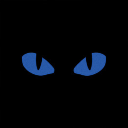 M-Tac нашивка Tiger Eyes Laser Cut (пара) Black/Blue/GID. Фото 3