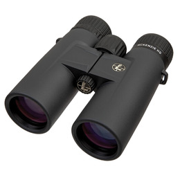 Бінокль Leupold BX-1 McKenzie HD 10x42mm темно-сірий