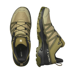 Кросівки Salomon X ULTRA 4 GTX Slagre/Olvnig/Black. Фото 3