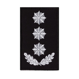 Погон Поліція Полковник липучка
