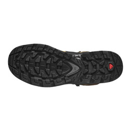 Черевики Salomon QUEST 4 GTX Kelp/Black/Castlerock. Фото 6