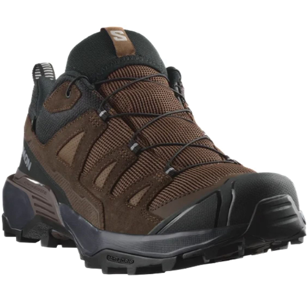 Кросівки Salomon X ULTRA 360 LTR GTX Dkeart/Dlciso