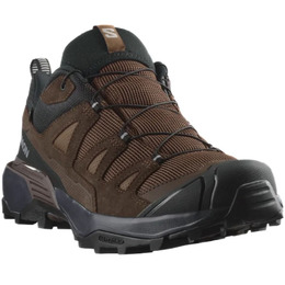Кросівки Salomon X ULTRA 360 LTR GTX Dkeart/Dlciso