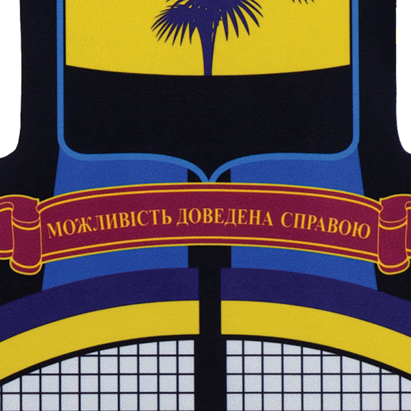 M-Tac панель для нашивок Стела Донецька область 900x1300 Full Color. Фото 9
