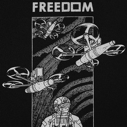 M-Tac футболка Birds of freedom Cotton Hard Black. Фото 5