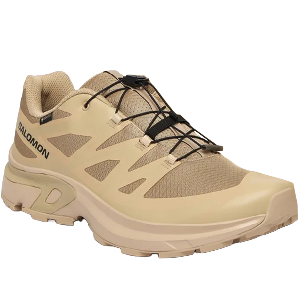 Кросівки Salomon XT-EVR GTX M Safari/Whpep/Black