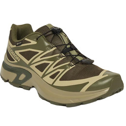 Кросівки Salomon XT-EVR GTX M Olvnig/Aloe/Black