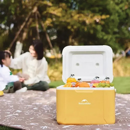 Туристичний холодильник Naturehike CNK2450CF012, 5 л, жовтий. Фото 3