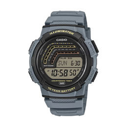 Годинник Casio TIMELESS COLLECTION WS-1800-2AVEF Grey
