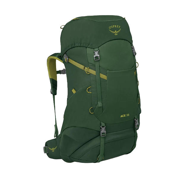 Рюкзак Osprey Ace 38 green canopy