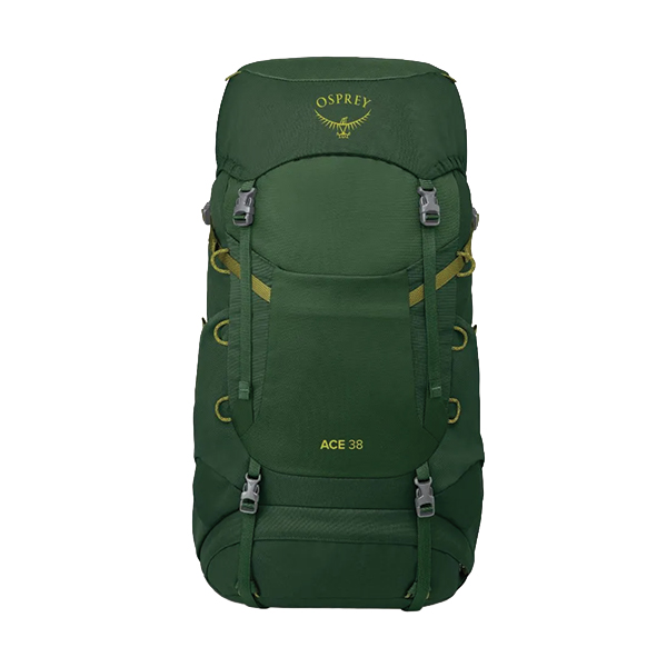 Рюкзак Osprey Ace 38 green canopy. Фото 2