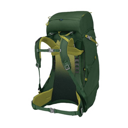 Рюкзак Osprey Ace 38 green canopy. Фото 3