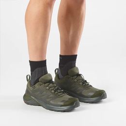 Кросівки Salomon X-ADVENTURE GTX Olvnig/Peat/Olvnig. Фото 8