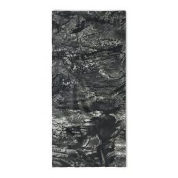 Шарф-труба Buff Coolnet UV Aspect Charcoal