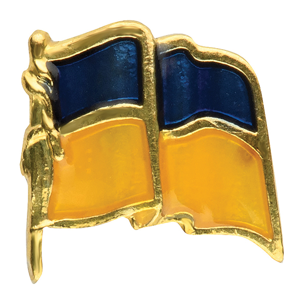 Значок прапор України