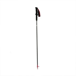 Трекінгова палиця Naturehike ST08 NH18D020-Z 120 см бордова