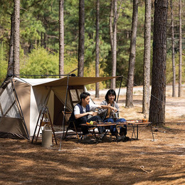 Намет з навісом Naturehike Village CNK2300ZP022, коричневий великий. Фото 7