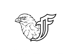 Falcons Team